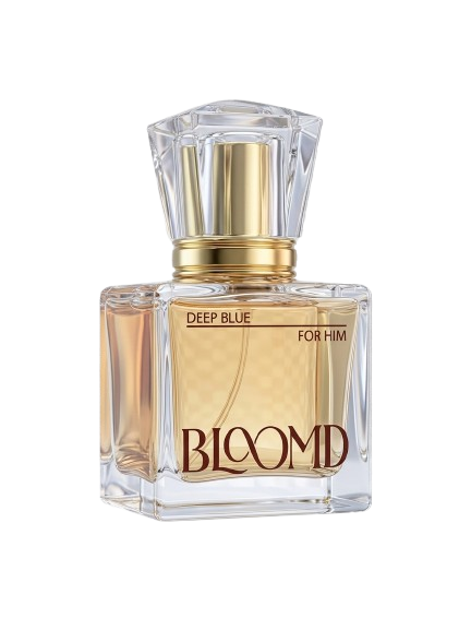 BLOOMD Deep Blue